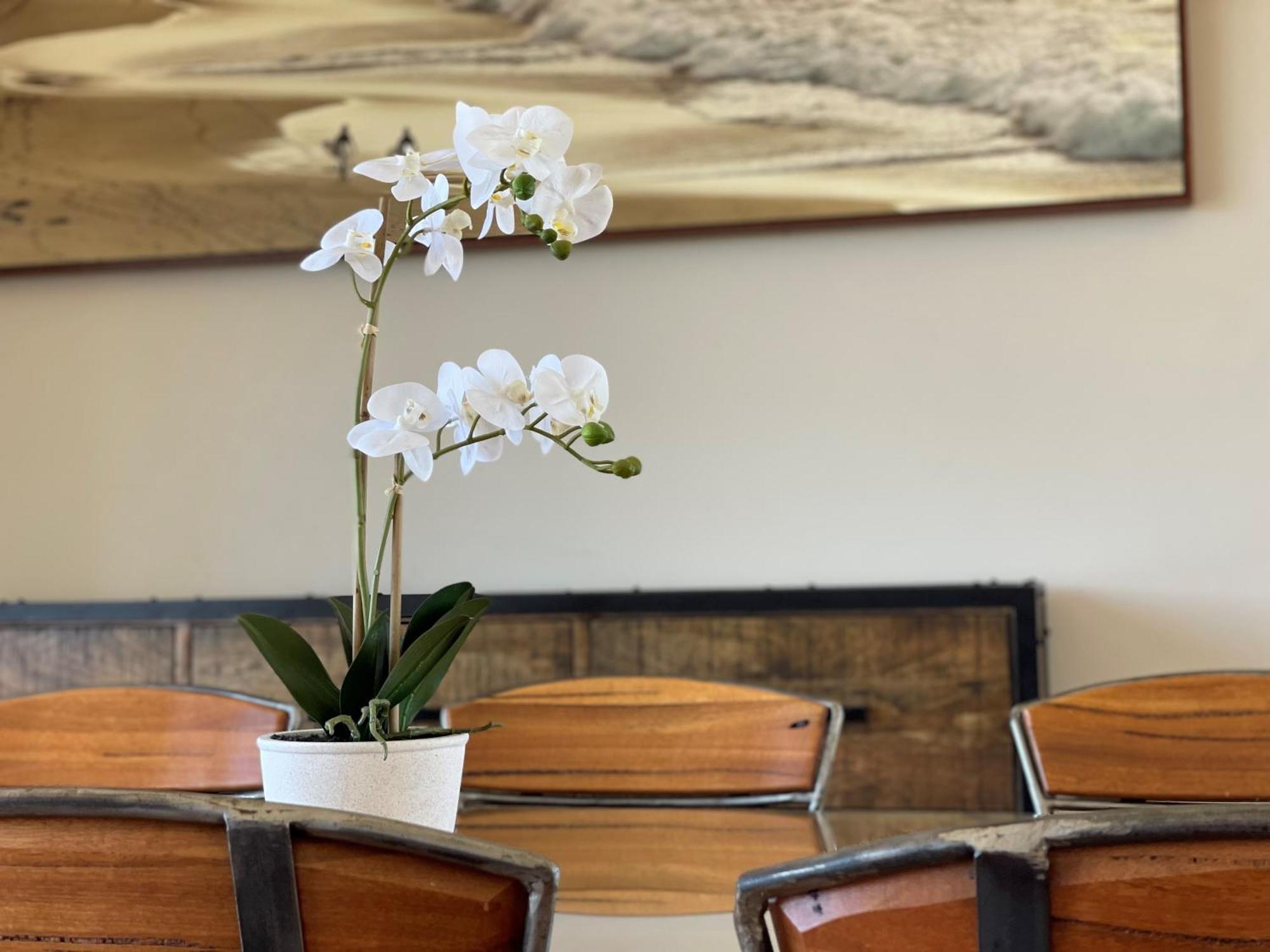 Barwon Heads Resort Quarto foto